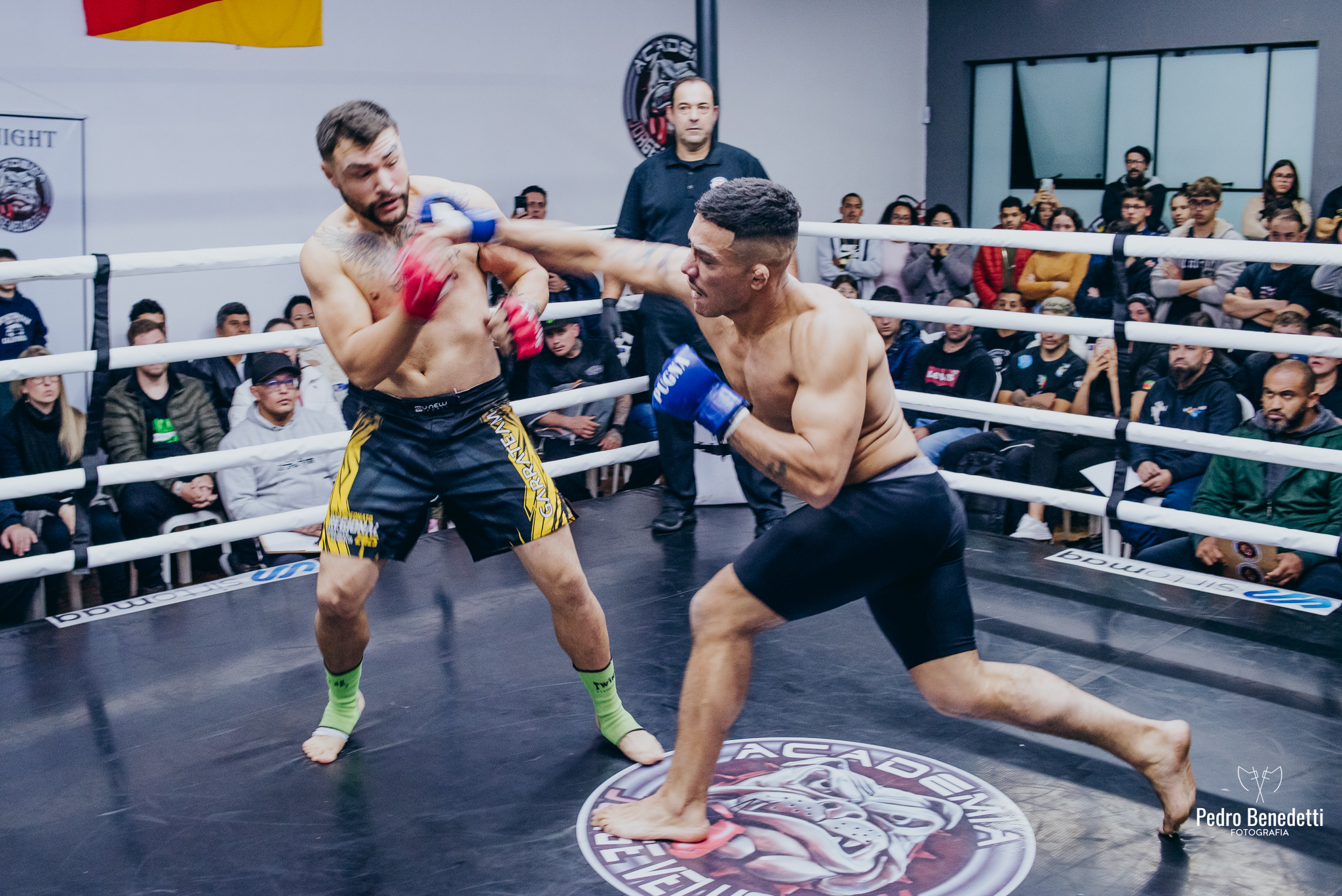 previa_JVTFN8_PEDROBENEDETTIFOTOGRAFIA-4